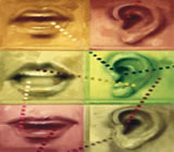 Fonoaudiologia em Lages