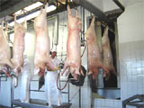 Frigoríficos em Lages