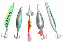 Lojas de Pesca em Lages
