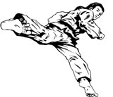 Tae Kwon Do em Lages
